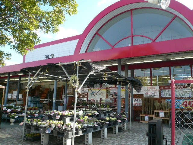 スターテラス物見の周辺|ホームセンタージュンテンドー大野店まで1,786ｍ