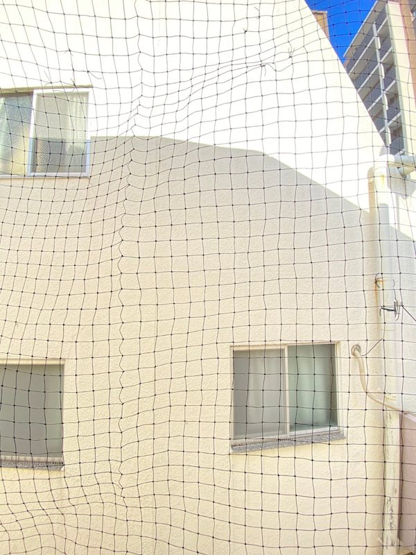 サルナートなかはらの展望
