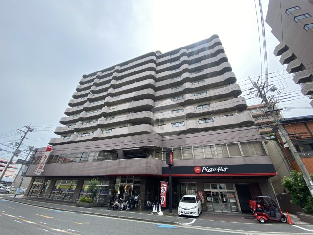 グランドール杉の木