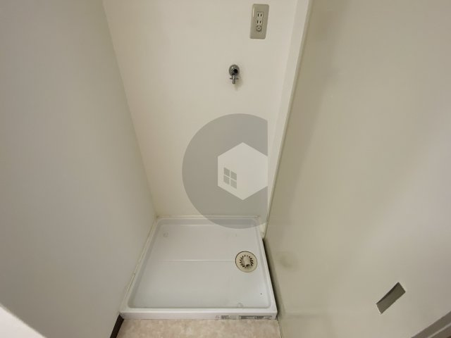 グランドール杉の木のその他