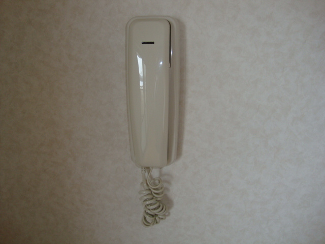 インポート久留米ルビーⅠのセキュリティ