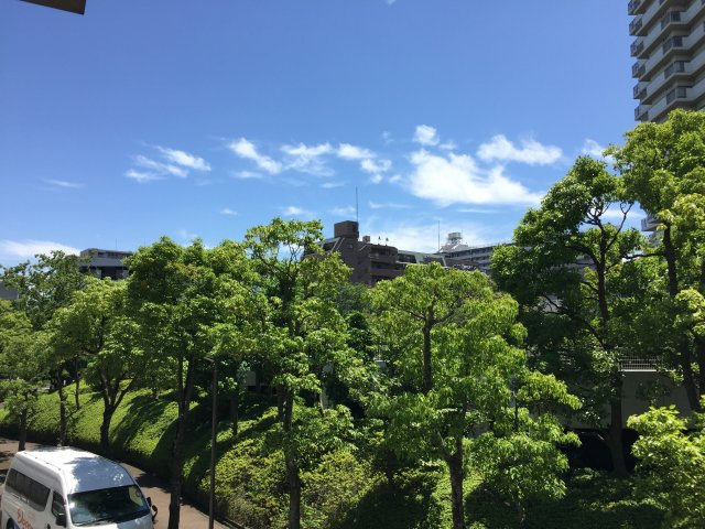 Sunrise shellの展望