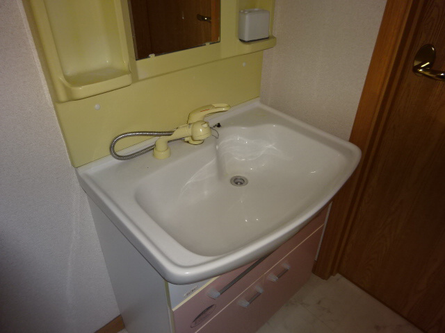 ルマージュ神戸5番館の洗面所