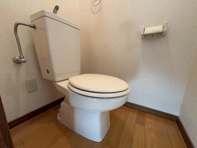 サウスビュウハイツのトイレ