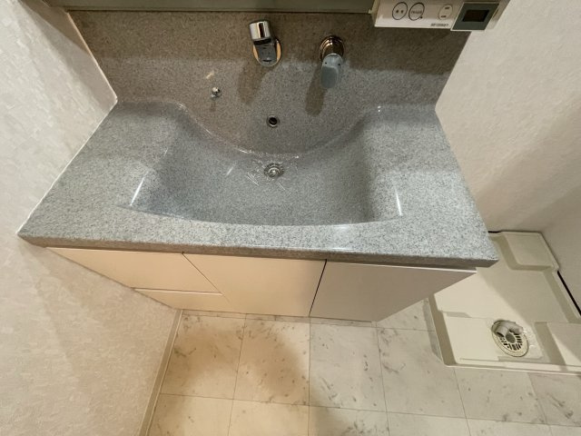 メゾン・デ・ノムラ島之内　の洗面所|イメージとして同マンション他部屋を表示しています