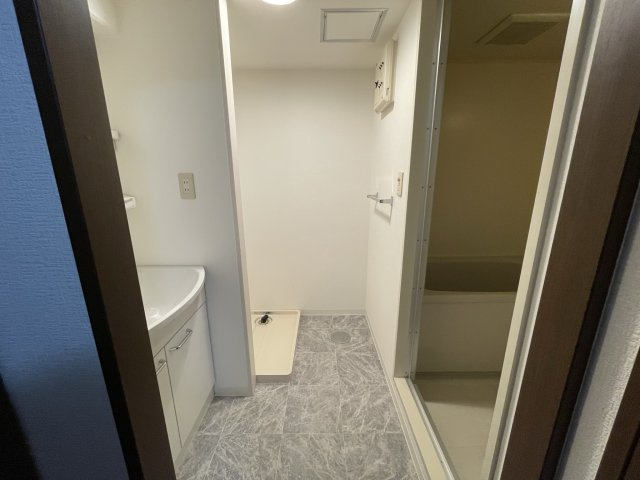 Green Villa Goryo　の洗面所