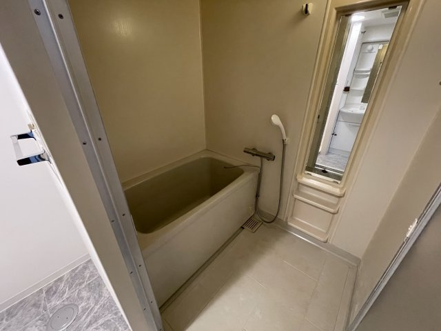 Green Villa Goryo　の浴室