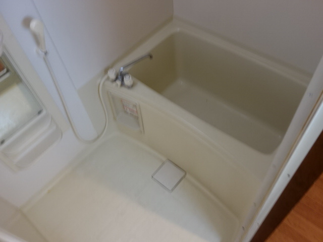 カーサベガの浴室