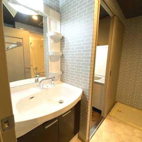 PHOENIX COURT 交野Ⅱの洗面所