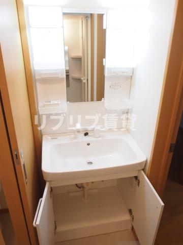 フォレストツインハウスＮ棟の洗面所