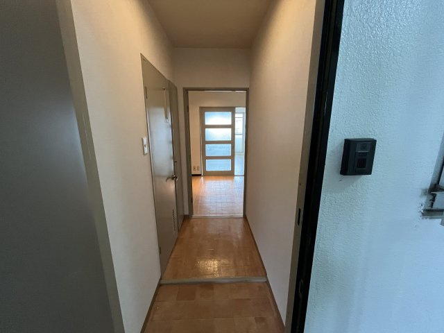 ロータリーマンション大日の玄関