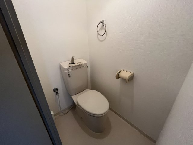 ロータリーマンション大日のトイレ