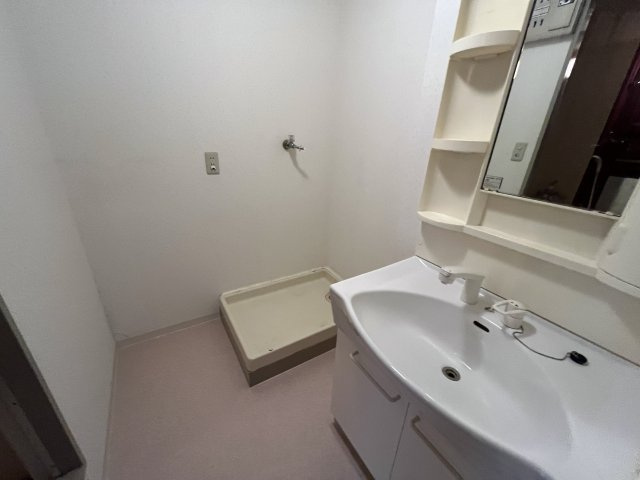 ロータリーマンション大日の洗面所