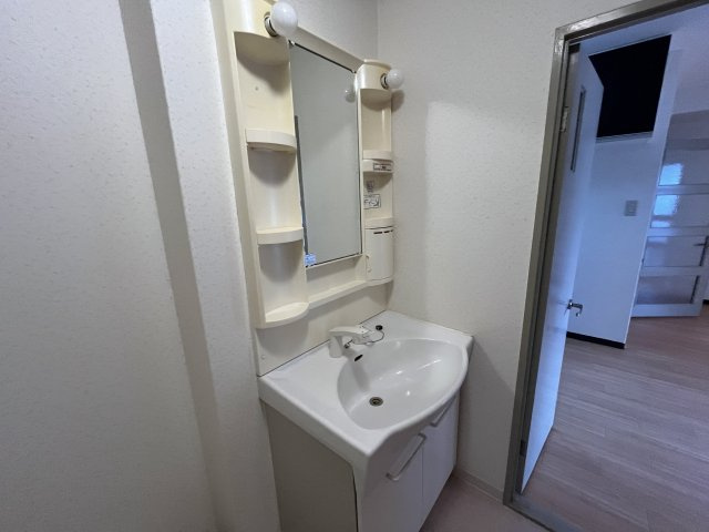 ロータリーマンション大日の独立洗面台