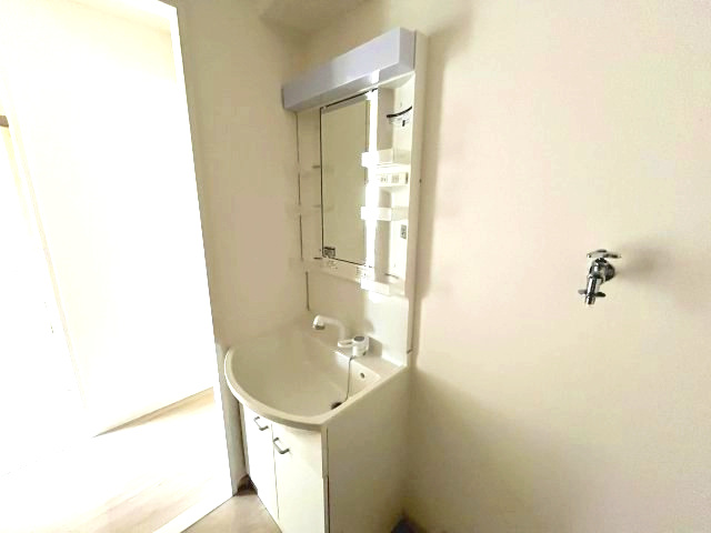 PLUM CITY RESIDENCE NEYAGAWA(ジュネスFUJI)の独立洗面台