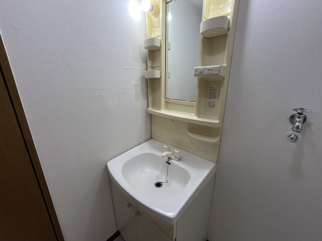 シャトー箕面の独立洗面台