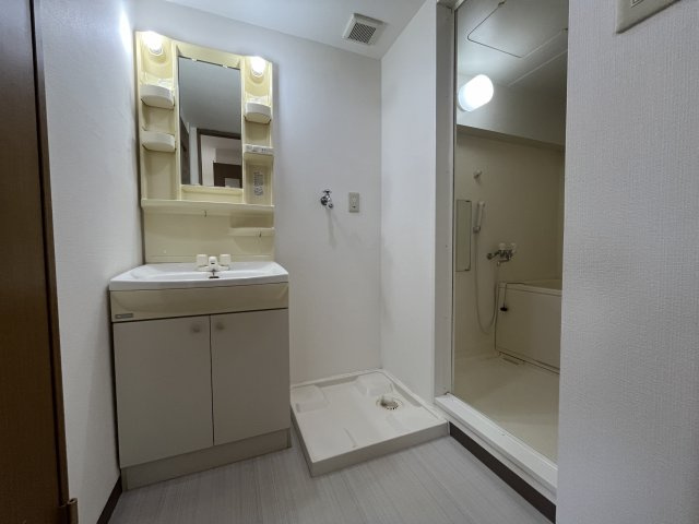 シャトー箕面の洗面所