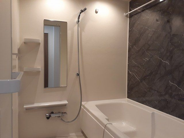 ドミール武生の浴室