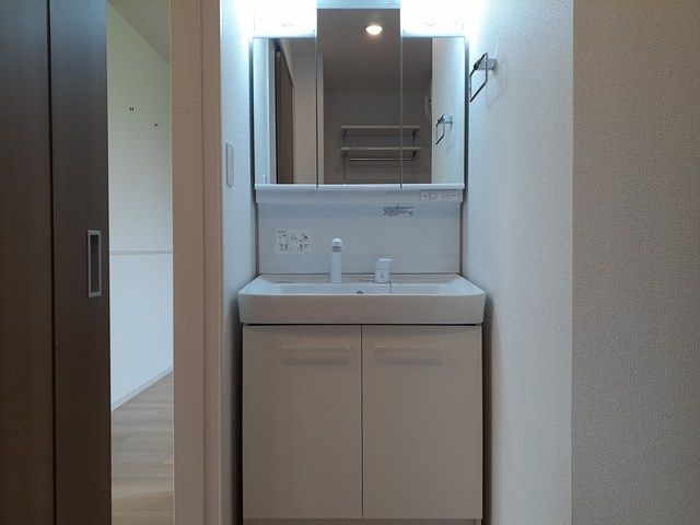 ドミール武生の洗面所