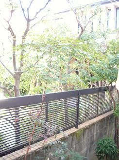 【庭】 | ハウスタゴト