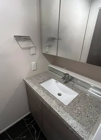 ザ・パークハビオ目黒レジデンスの独立洗面台