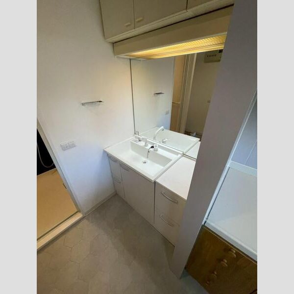 ルナガーデンの洗面所