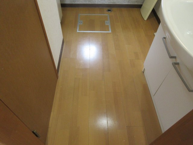 レジデンスマンワⅦの洗面所