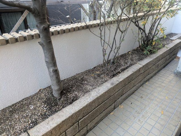 ハレロイヤル目黒のバルコニー