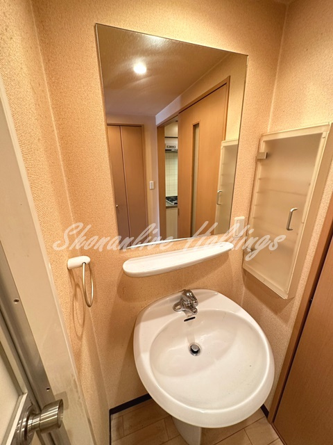 鎌倉市小町２丁目の賃貸マンションの洗面所