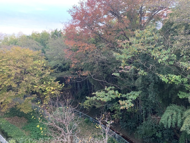 【物件からの展望】