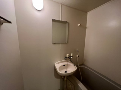 【洗面所】 | エステムコート大阪城南