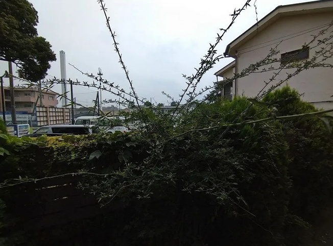 【展望】 | ＤＥＡＲＥＳＴ