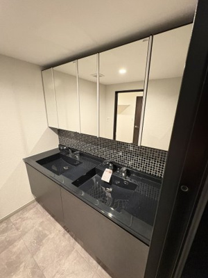 【独立洗面台】 | 島津山岩波ハイツ