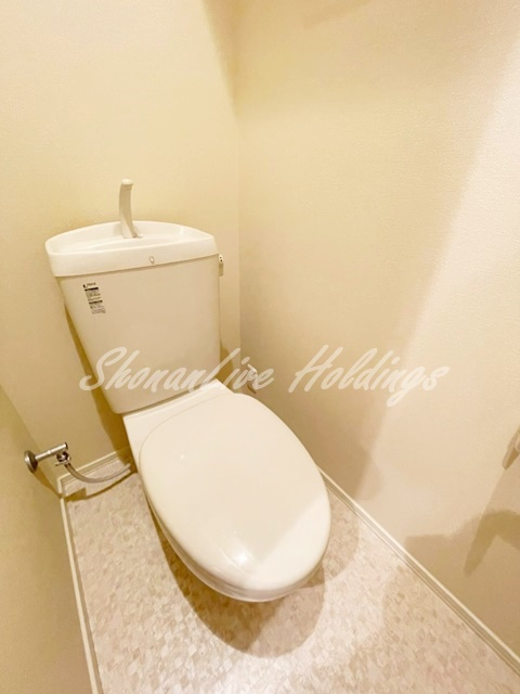 大和市中央林間２丁目の賃貸マンションのトイレ|清潔感のあるトイレです