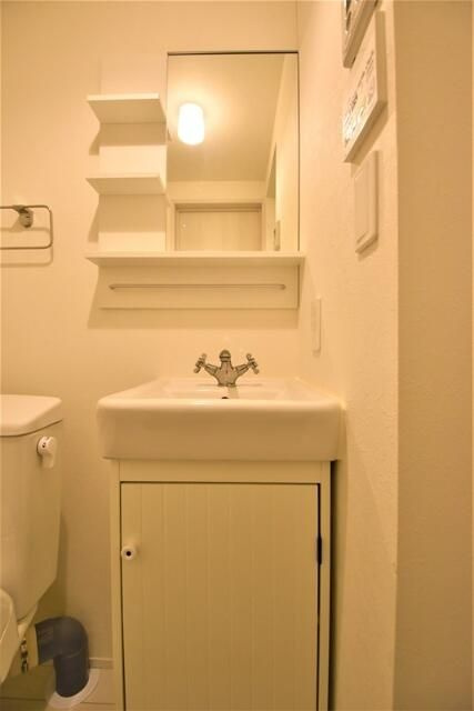 ヒルズ徳丸の洗面所