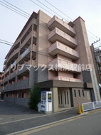 ピノエスペランサの画像