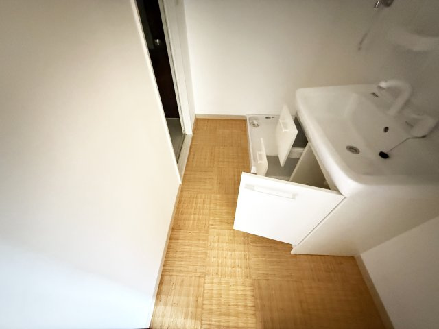 リーヴァかもべの洗面所