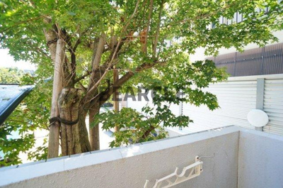 【展望】 | メイプル等持院