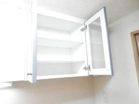 ヴィオラの内装