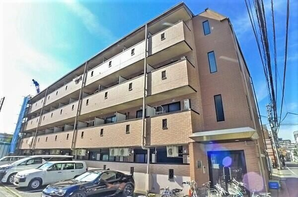 ヴィオラの外観