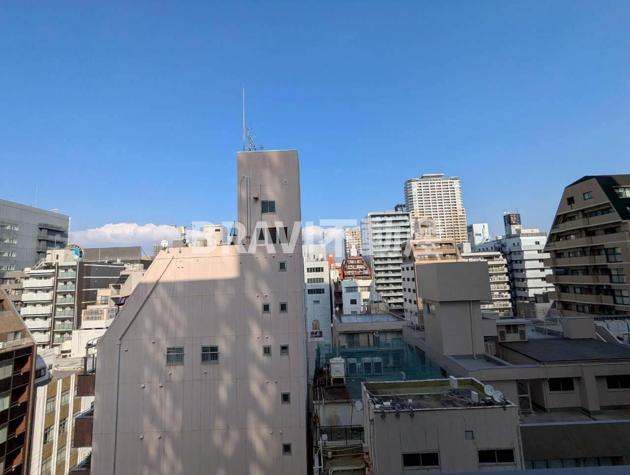 セイワパレス本町東 BRAVI不動産の展望