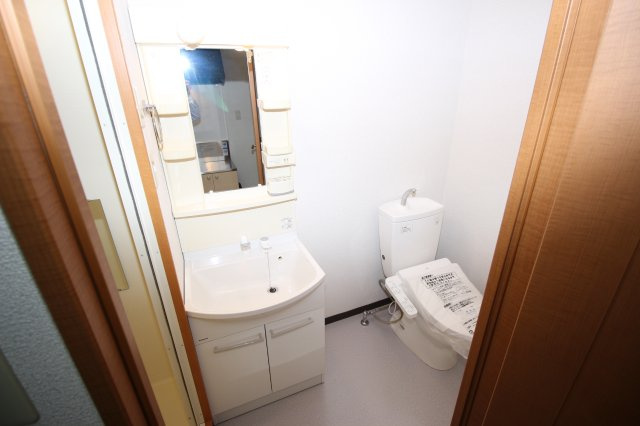 レイーナ深草の洗面所