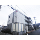 ハートフルプリムラの画像