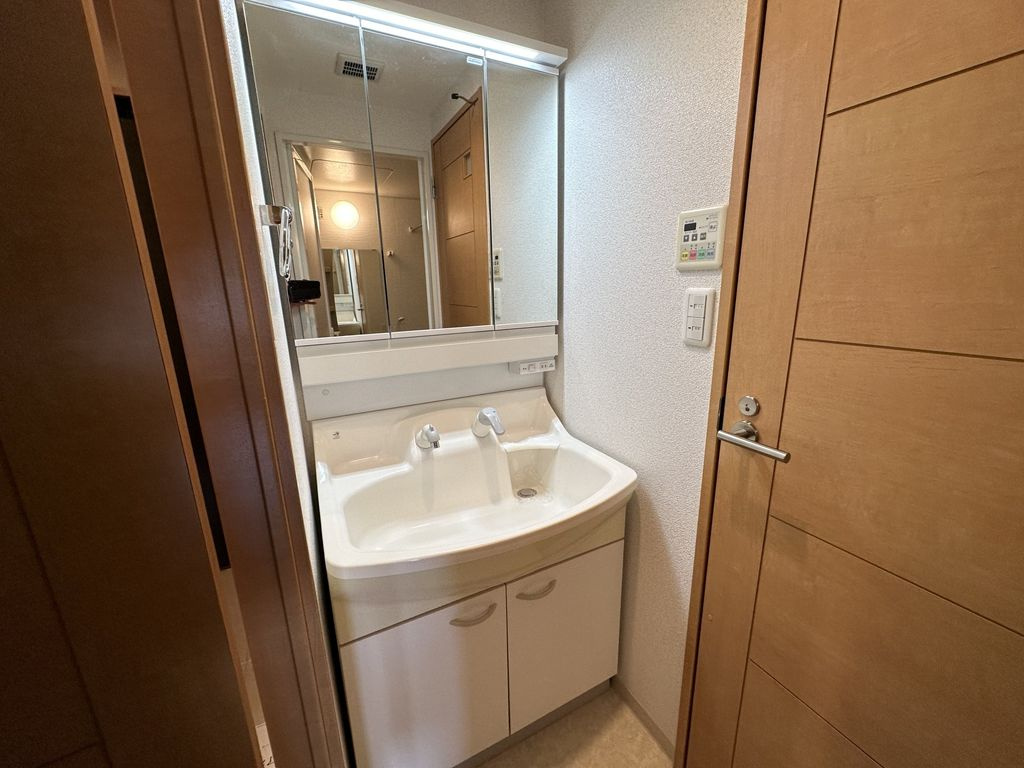 ドミールタケダ・船戸町の洗面所