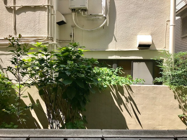 ヴィルヌーヴ阿佐ヶ谷の展望|★眺望★