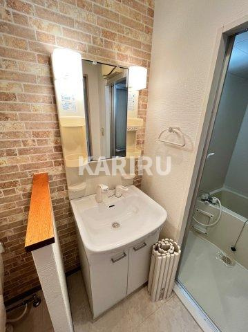 フェリス関目の洗面所