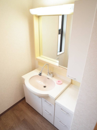 ドゥエルイーストの洗面所|オンライン対能応可！