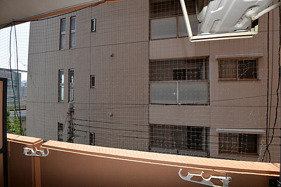 ダイアパレス王子公園の展望