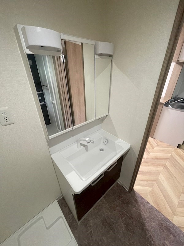 ワコーレヴィータ芦屋浜町の洗面所