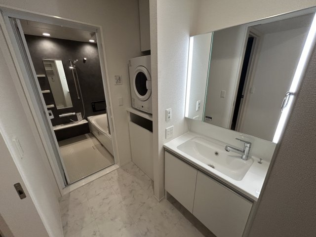 クラシスト甲子園一番町2の洗面所